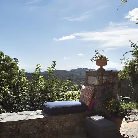 Landsted White Jasmine