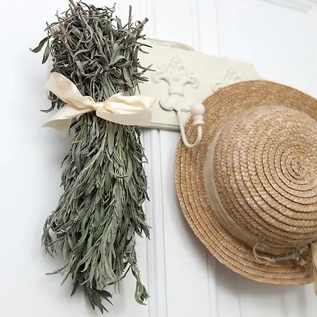 White Jasmine * Áno Korakiána