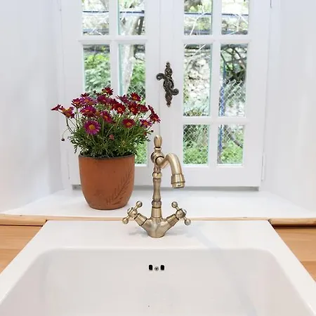 Kır Evi White Jasmine