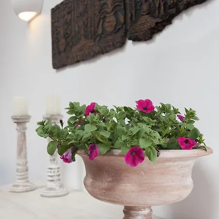 White Jasmine *