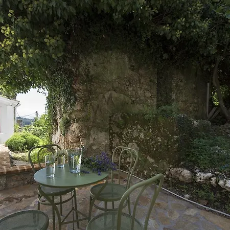 White Jasmine * Áno Korakiána