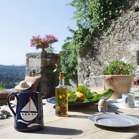 White Jasmine * Áno Korakiána